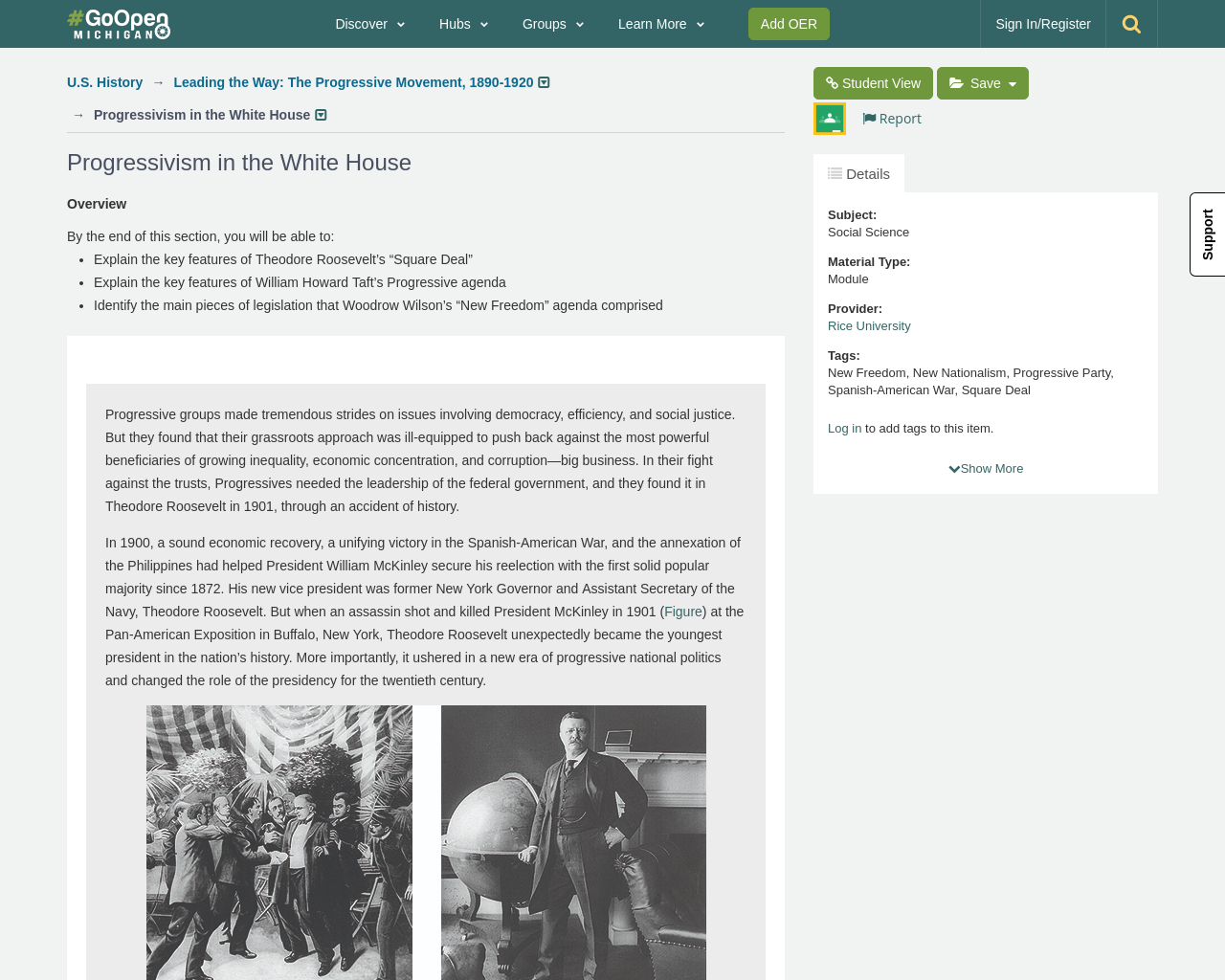 U.S. History, Leading the Way: The Progressive Movement, 1890-1920 ...